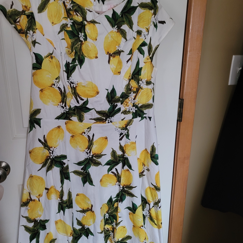 1950s Rockabilly Inspired Plus Size Dress with Vibrant Lemon Print - Picture 2 of 6